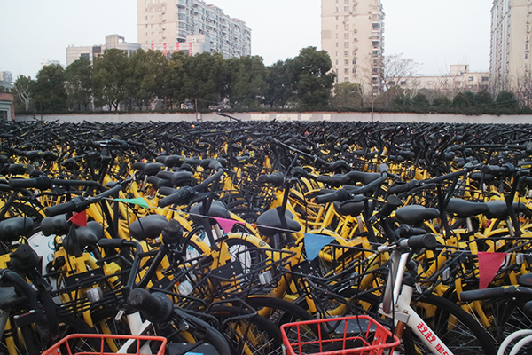 ofo: China’s Bike-Share Giant Faces Bumpy Roads Ahead